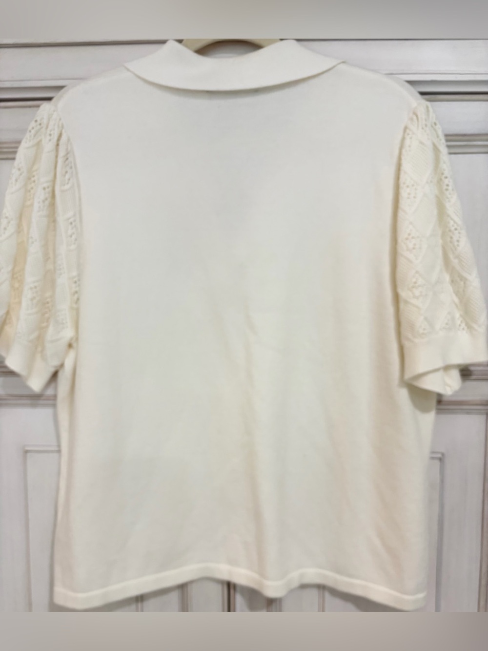 NWOT SZ XL Adrianna Papell Ivory Knit Polo Top with Crochet Sleeves - Picture 2 of 6